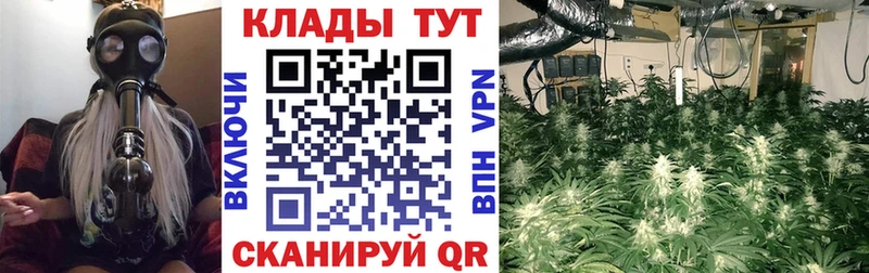 Купить наркотики сайты Тихорецк Кокаин БУТИРАТ Меф Амфетамин Каннабис Гашиш СОЛЬ