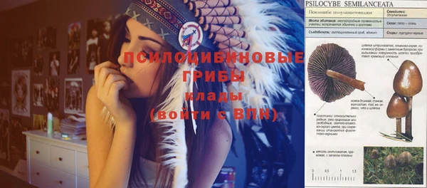 apvp Нефтегорск