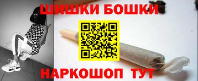 прущие грибы Кохма