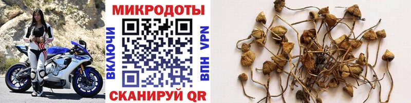 закладки Тихорецк Галлюциногенные грибы ЛСД